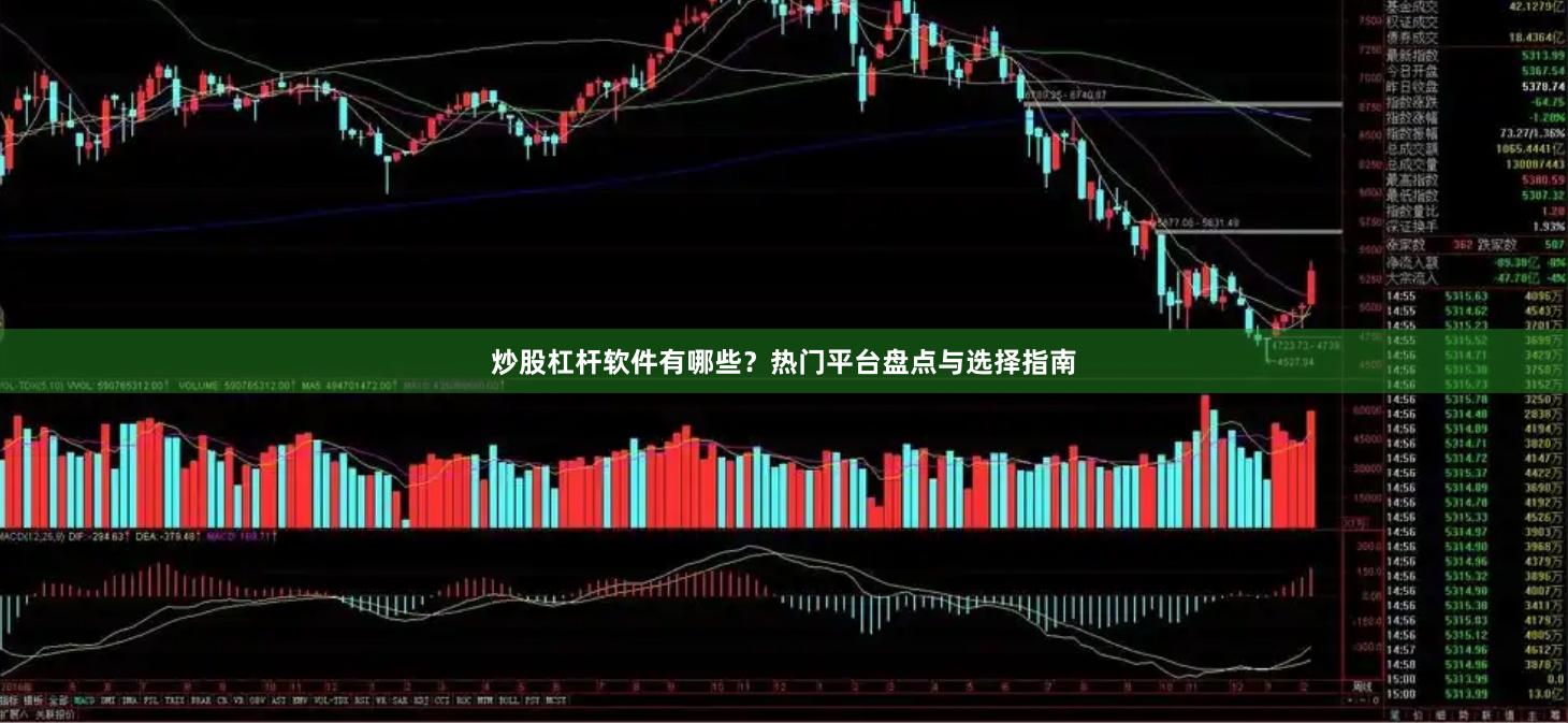炒股杠杆软件有哪些？热门平台盘点与选择指南
