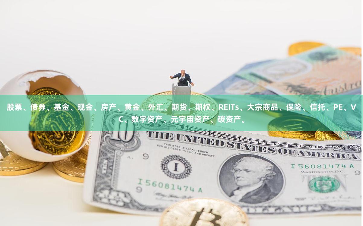 股票、债券、基金、现金、房产、黄金、外汇、期货、期权、REITs、大宗商品、保险、信托、PE、VC、数字资产、元宇宙资产、碳资产。