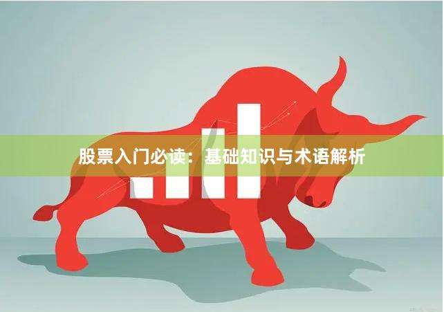 股票入门必读：基础知识与术语解析